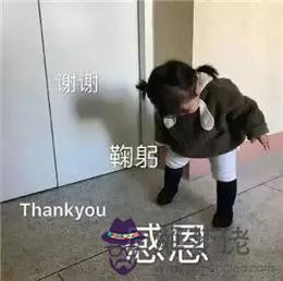 2個星座表情幫我寫一下，88個星座圖片"