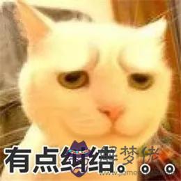 2個星座表情幫我寫一下，88個星座圖片"
