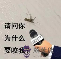 2個星座表情幫我寫一下，88個星座圖片"