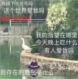 2個星座表情幫我寫一下，88個星座圖片"