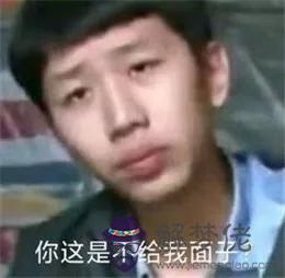 2個星座表情幫我寫一下，88個星座圖片"