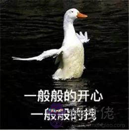 2個星座表情幫我寫一下，88個星座圖片"