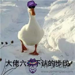 2個星座表情幫我寫一下，88個星座圖片"
