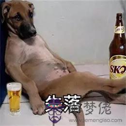 2個星座表情幫我寫一下，88個星座圖片"