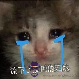 2個星座表情幫我寫一下，88個星座圖片"