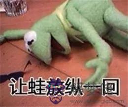 2個星座表情幫我寫一下，88個星座圖片"