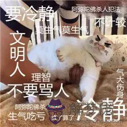 2個星座表情幫我寫一下，88個星座圖片"
