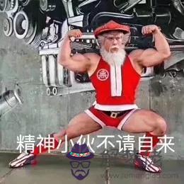 2個星座表情幫我寫一下，88個星座圖片"