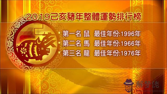 豬年女生今年運勢