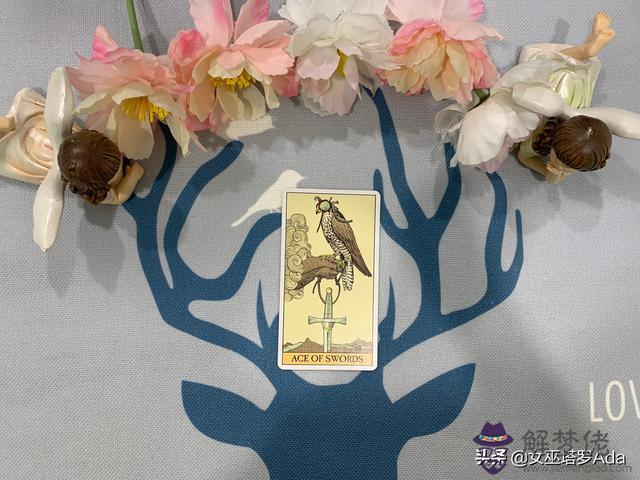 8月16號獅子座的感情運勢