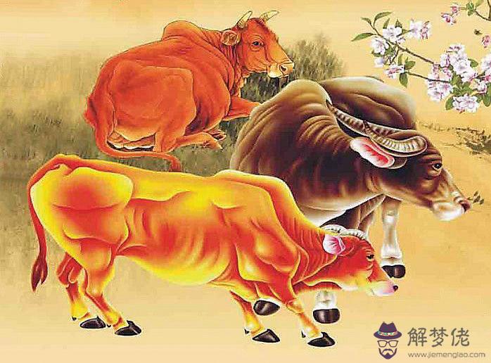1、屬牛今年運勢:屬牛今年的運勢，年屬牛的人婚姻