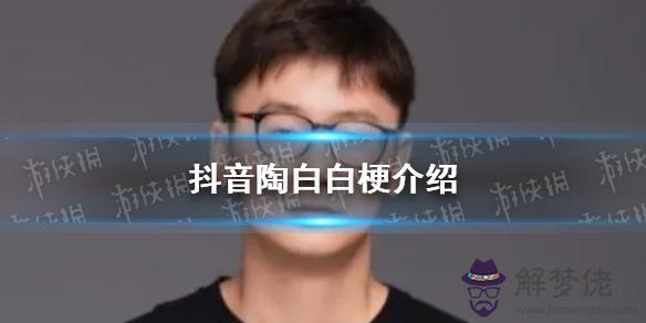 2、陶白白怎麼火的:陶白白是啥