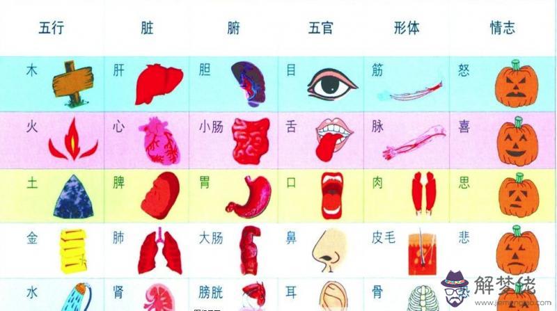 1、保健品屬于金木水火土哪一個:特產金木水火土屬于哪行