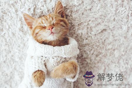 屬豬的幾月出生最好,屬豬的幾月出生好,屬豬人出生月的命運