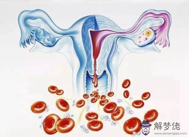 7、我正在備孕，可是月經和不在同一個月，如果懷孕是算月經的那個月還是排卵的那個月？