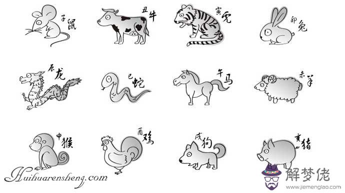 3、12生肖簡筆畫圖片大全:十二生肖的簡筆畫怎麼畫