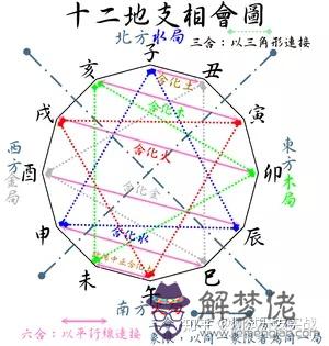 3、生肖不合是不是就代表八字不合:生肖不和等于八字不合嗎