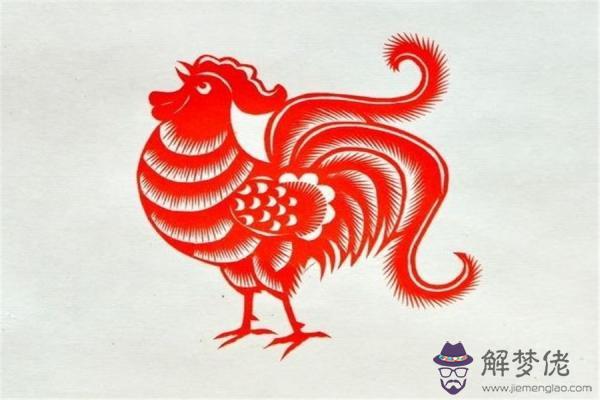 2、十二生肖屬雞的命運:屬雞幾月的是鳳凰命