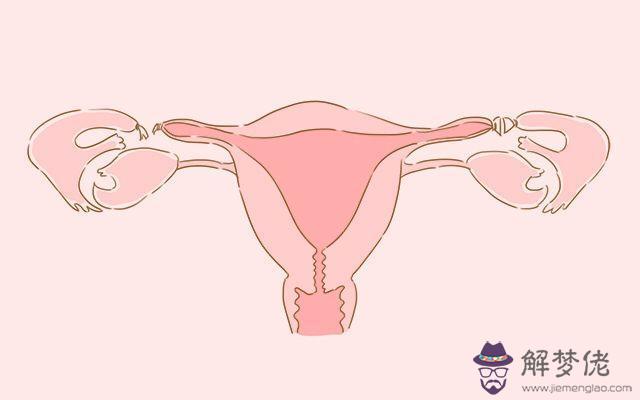2、怎麼做才能最快懷孕:怎麼樣懷孕最快