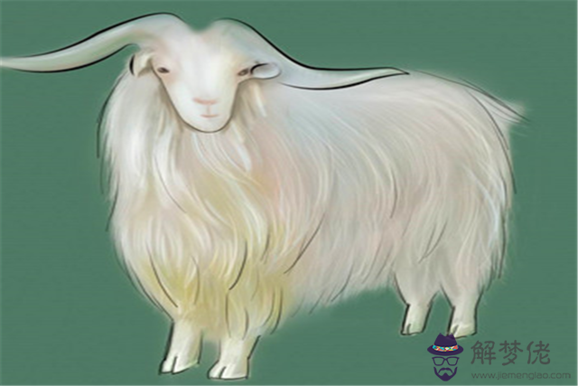 4、屬羊的女生和什麼屬相最般配:屬羊的和什麼屬相最配