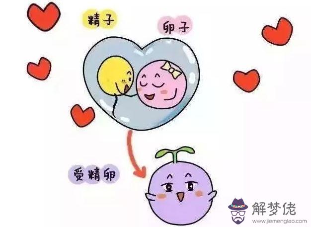3、多久開始備孕:備孕調理身體提前多久開始？
