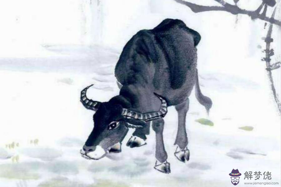 3、牛和馬婚姻不合怎麼化解:屬馬和屬牛的在一起家庭不和性格不合怎麼辦