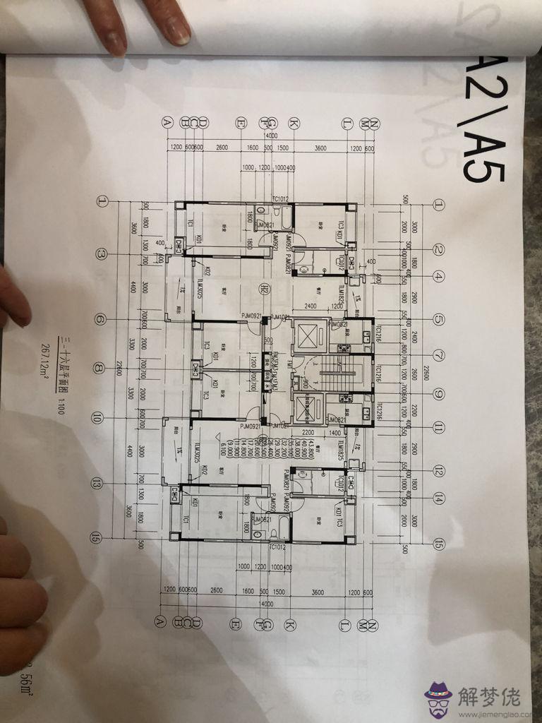 1、風水老師,我老公85年屬牛,我84年屬鼠,選樓層選幾樓比較好？