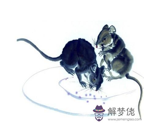3、屬鼠與屬狗合作共事:屬鼠和屬狗能合開公司嗎
