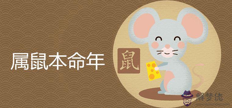 2、屬鼠的婚姻和命運女:年出生的屬鼠女的姻緣命中和什麼屬相有緣