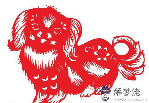 2、狗人年運勢運程:年屬狗人的全年運勢