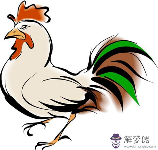 3、屬雞忌諱什麼屬相:屬雞和什麼屬相相克