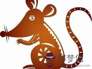 5、10月屬鼠人有什麼說法:年10月屬鼠用什麼顏色旺財