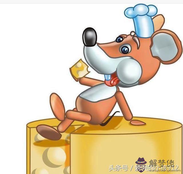 4、二月鼠有沒有命好的人:年農歷2月出生的鼠人命運怎麼樣？