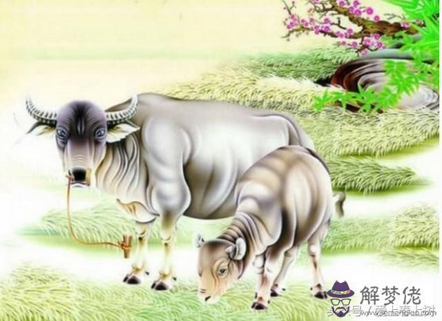 2、屬牛的有幾年的:屬牛的是那幾年出生的？