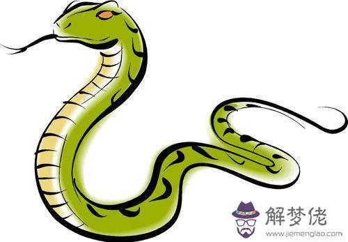 2、屬蛇人年全年運勢男性:蛇人年運勢運程