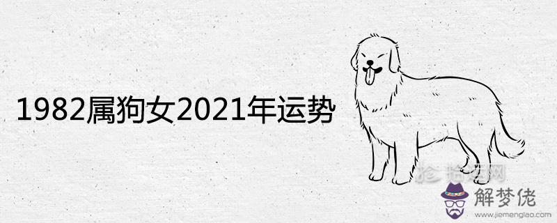 1、82年屬狗女在年的運程:年屬狗女年運勢及運程