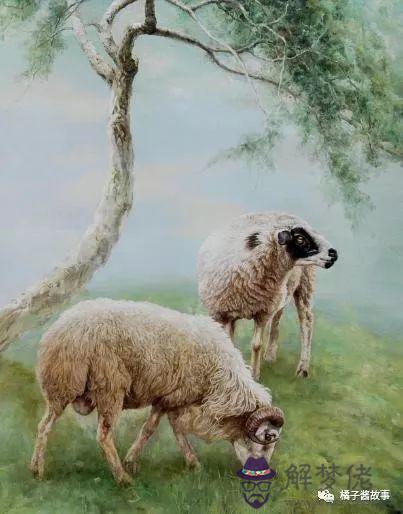 1、年屬羊人41歲大難:屬羊年四十以后命