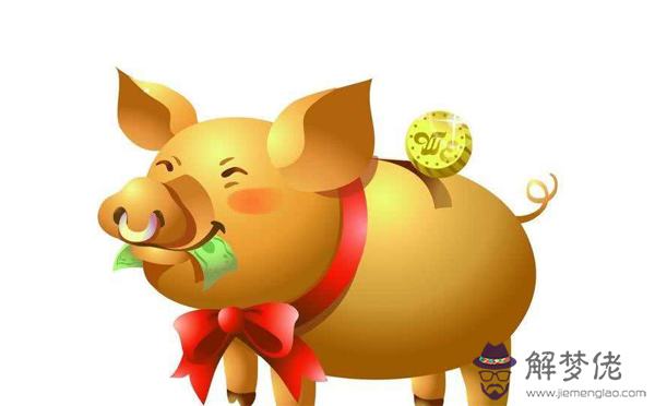 2、年豬人運程:屬豬人年運勢運程每月運程