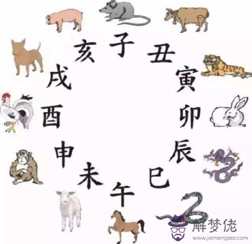 3、屬豬和屬鼠哪個好:屬豬好？ 屬鼠好？