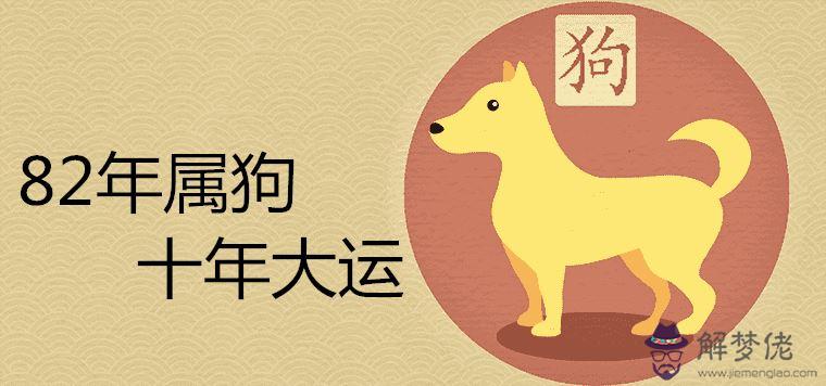 1、82年狗40歲后十年大運運程:年屬狗未來10年大運