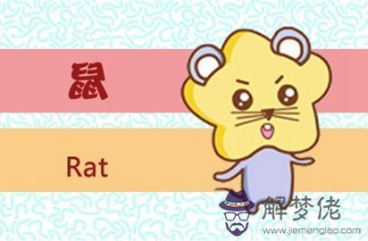 2、年屬鼠虛歲今年多大了:屬鼠今年多大