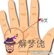 3、手掌的婚姻線是哪一條:婚姻線是手掌上哪一條線啊