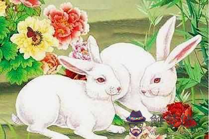 1、兔女結婚配對什麼生肖:87年屬兔女孩和什麼屬相相配