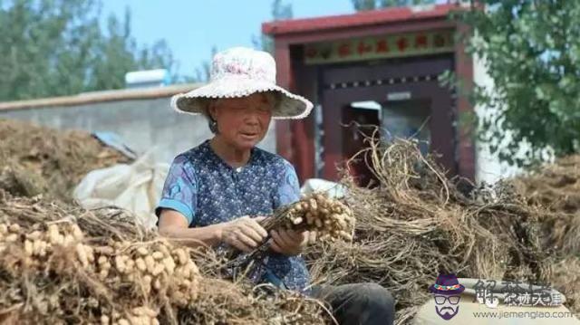 八月初六六點八字