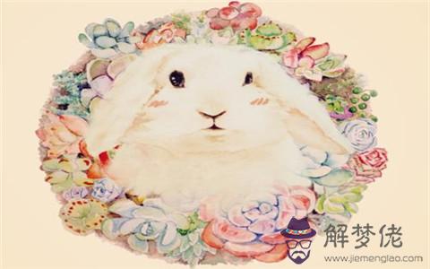1、女兔年婚配哪個合適嗎:屬免:男與屬兔女婚配好嗎？