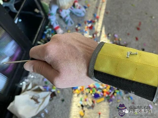 狗狗的耳朵像八字 狗狗的耳朵像八字