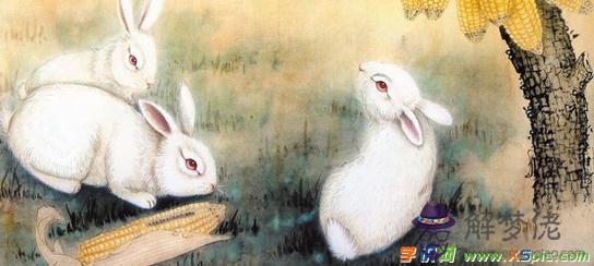 1、年屬兔男人的婚配:75年屬兔的和什麼屬相最配