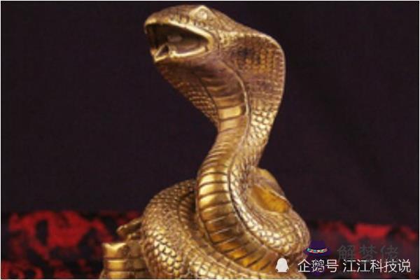 2、男屬蛇女屬蛇婚配好不好:男屬蛇和女屬什麼配好