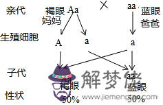 2、某地對幾種常見遺傳病進行調查，得出了正常婚配與近親婚配后代的患病率以及患病后代男女比例，請根據表中