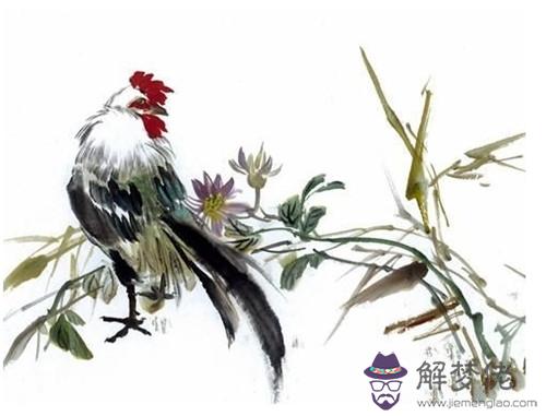 2、81年屬雞和90年屬馬婚配咋樣:90年屬馬的男的和81年屬雞的女的合婚嗎?